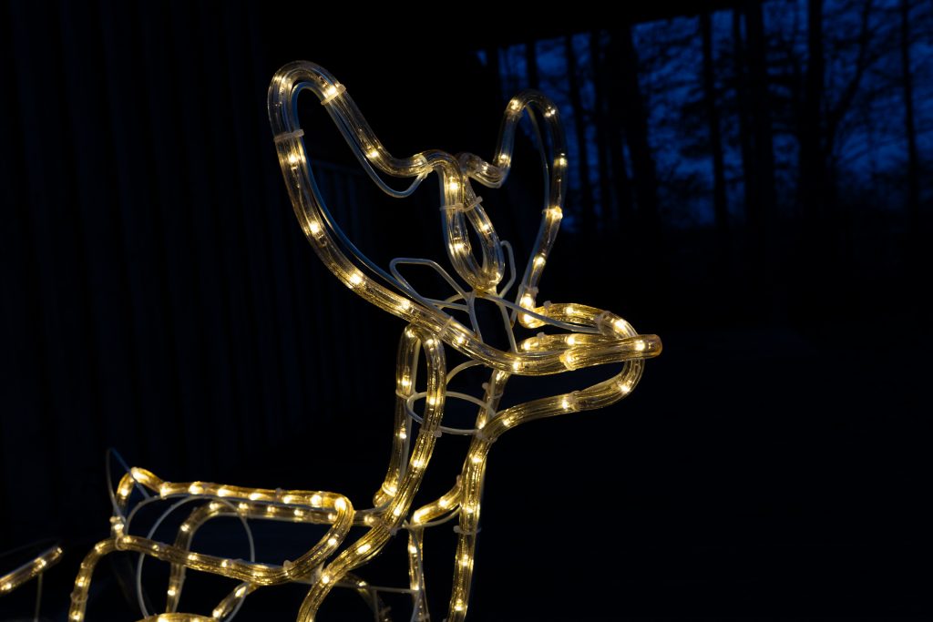 Weihnachtsfeier_2025_Lichterkette